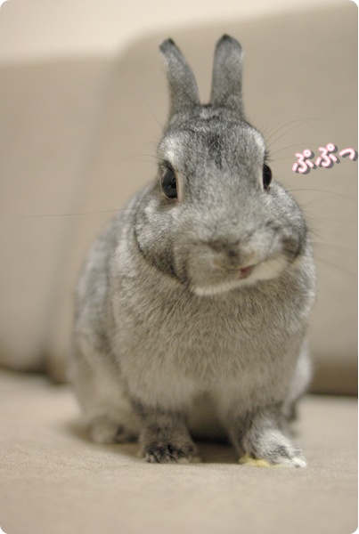 アホちゃんだね〜