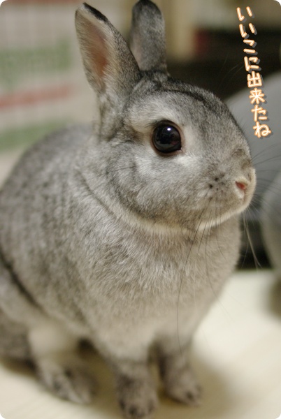 ふう…