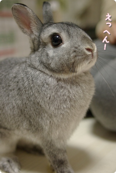 いいこだよっ