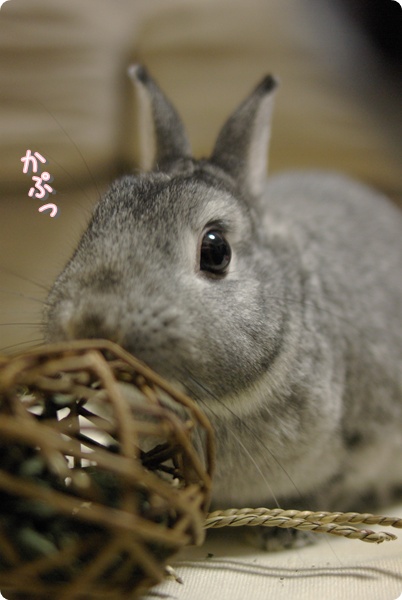 090209mana4.jpg