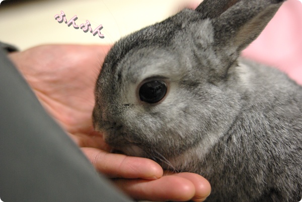 おやつ♪おやつ♪