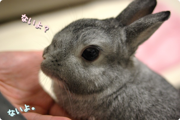 あれあれ?