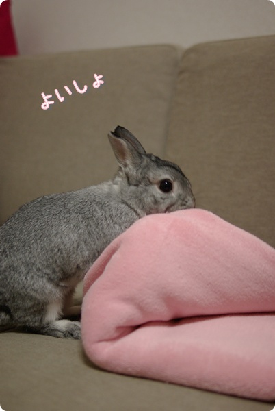 てきとうに持ってください