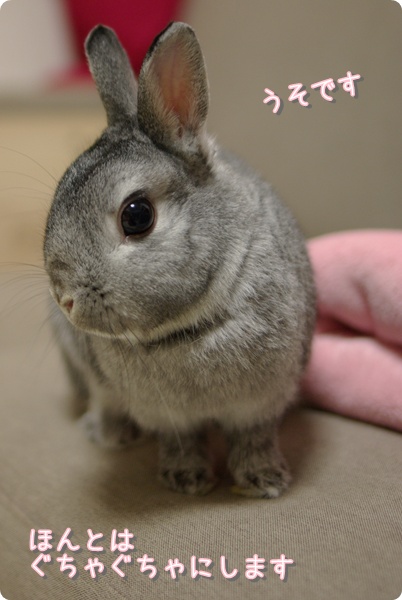 冷静に考えてありえません