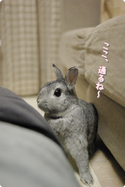 ふんふ〜ん♪