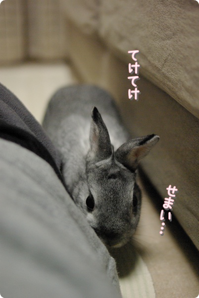 むむう…