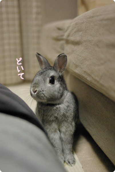 じゃまなの