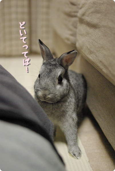 がぶするわよ!