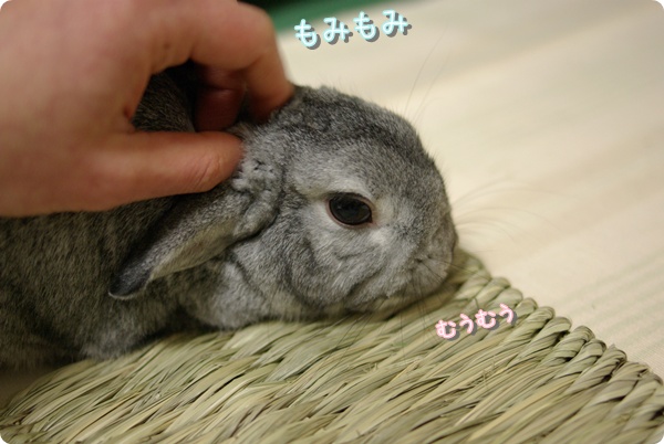 そこそこ