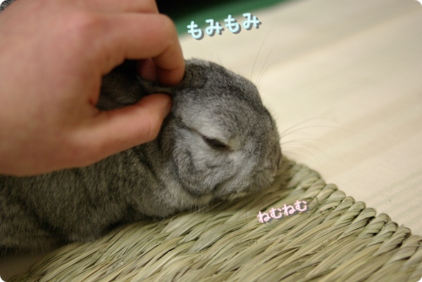 ふにゃふにゃ〜