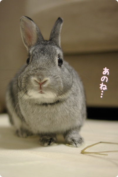 じ〜っ