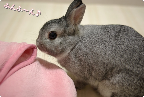むうむう♪