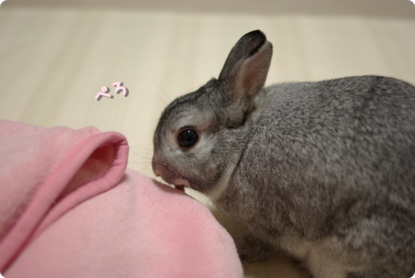 ちろり