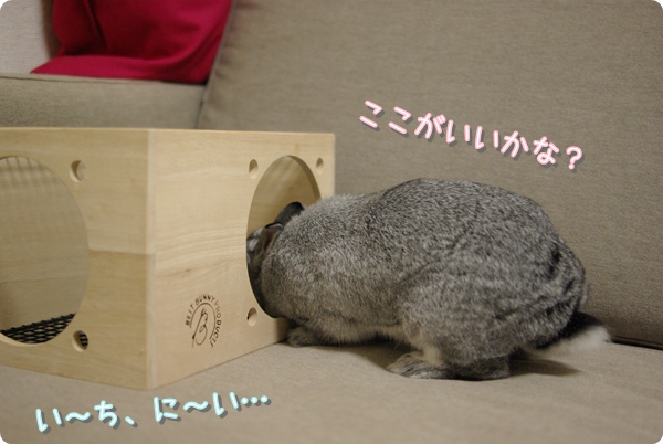 ごそごそ