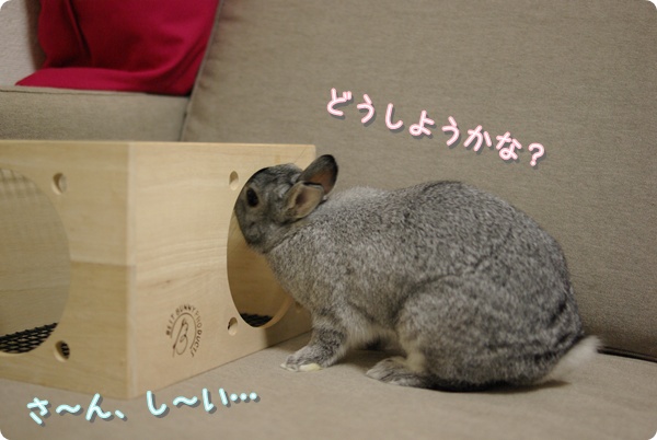 ちょうどよさそうだわ