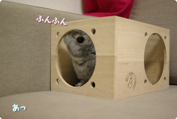 ちらり