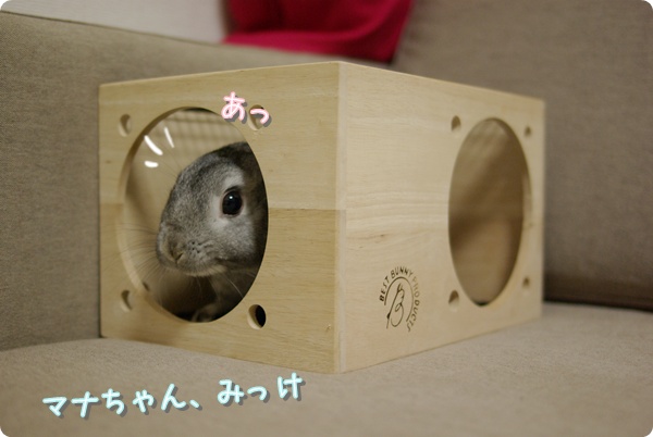 ひょっこり