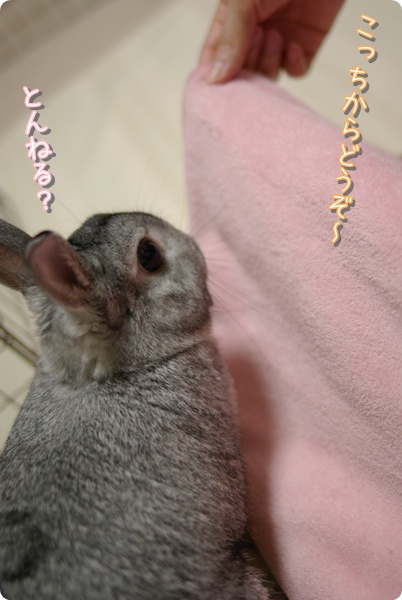 たのしいよ〜♪