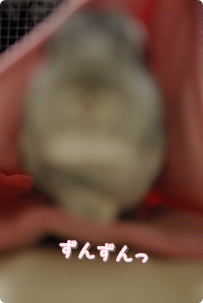 うひゃ〜っ