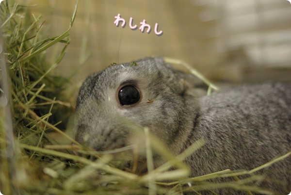 気にしてません