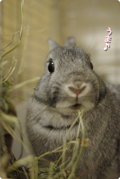 見てたの?