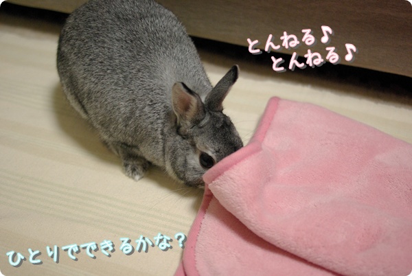 いける!