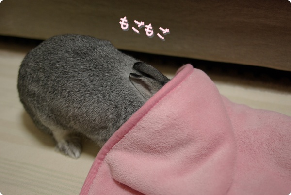 よいしょよいしょ