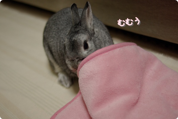 もどってきちゃった…