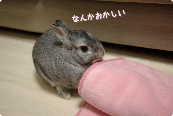 ぜったいぜったいおかしい!