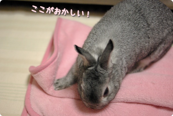 どれどれふんふん