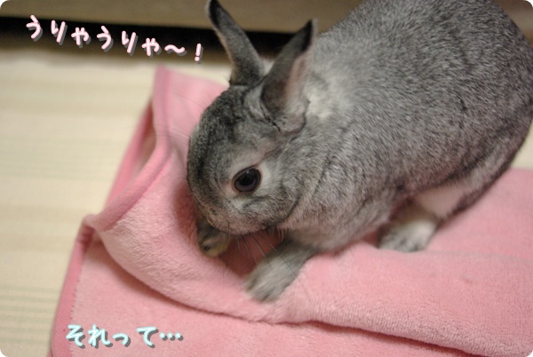 ほりほりほりほりっ
