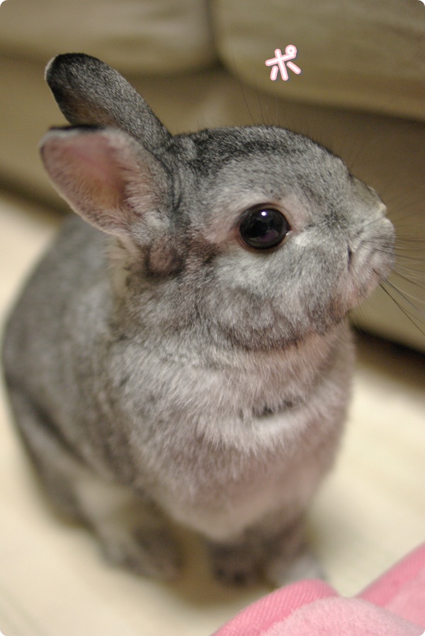 むう♪
