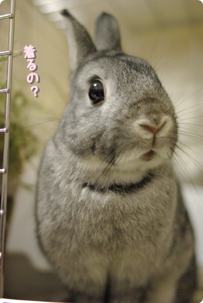 びっくり