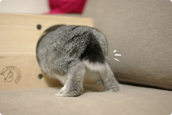 へっぴり