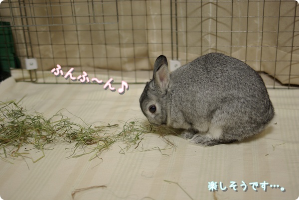 一歩一歩、西へ