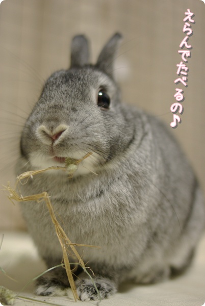 ああ、そうか…