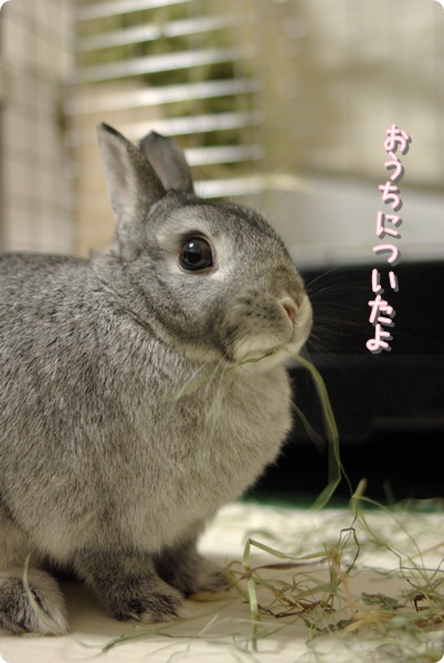 まだ食べてるよ…