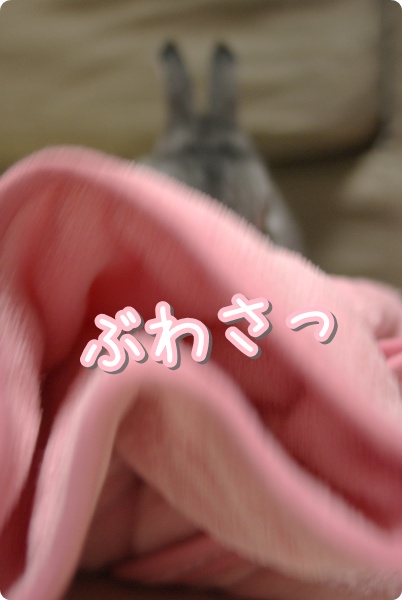 波打つ毛布っ!
