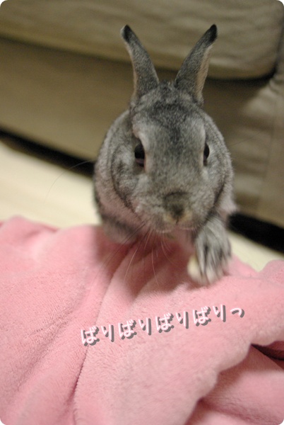 そっちもほりほり!