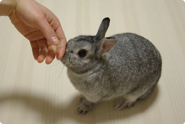 ちょっとじゃま〜