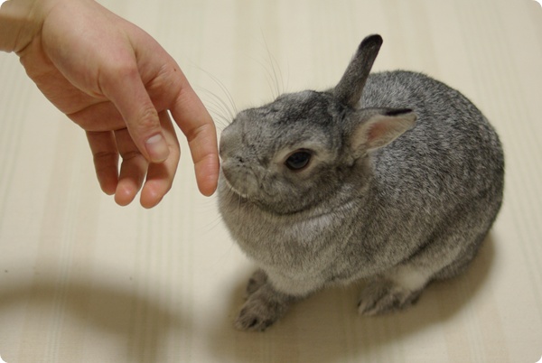 どうしようかなあ