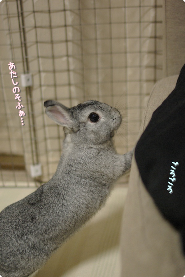 なにしてるの?