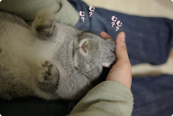おててぴ〜ん