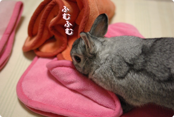 もうふですっ!