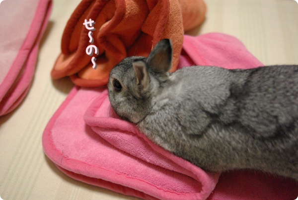 ではいきますっ