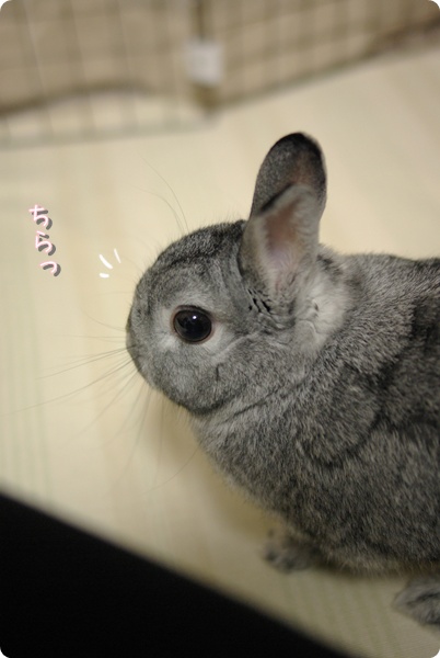 いま気づいたフリ
