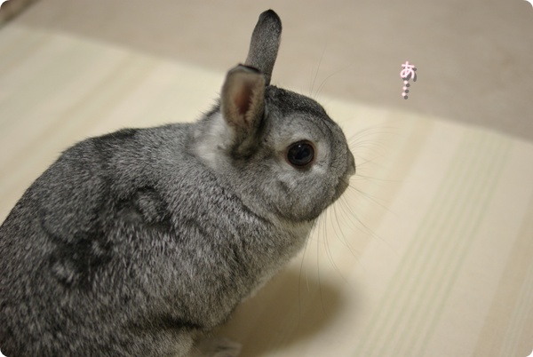 ちょっと…