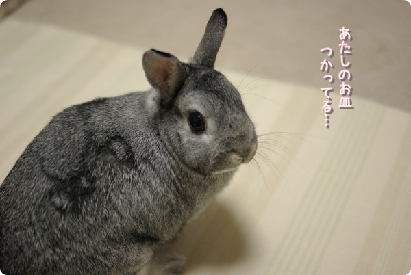 なにやってるの!