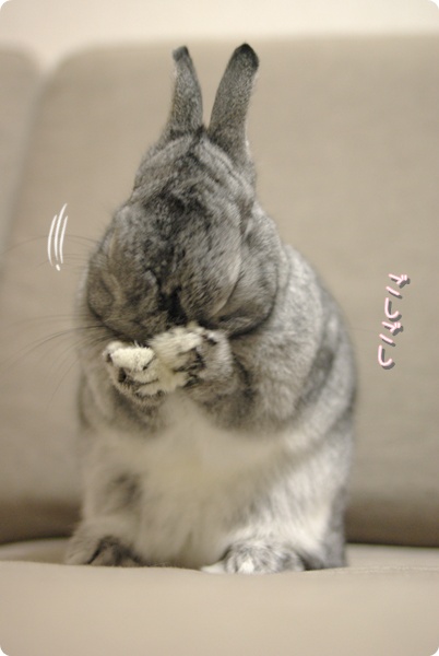 もしゃもしゃ〜