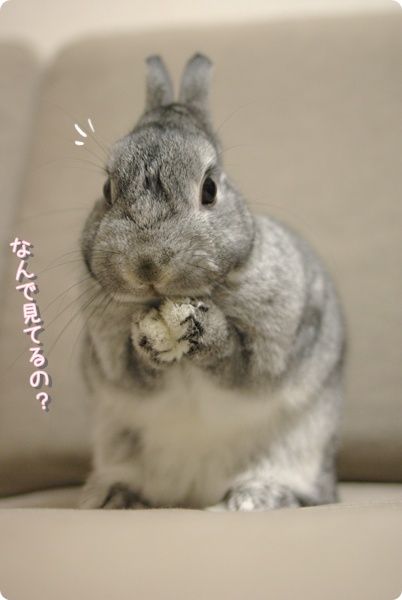 ん?